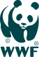 Vector